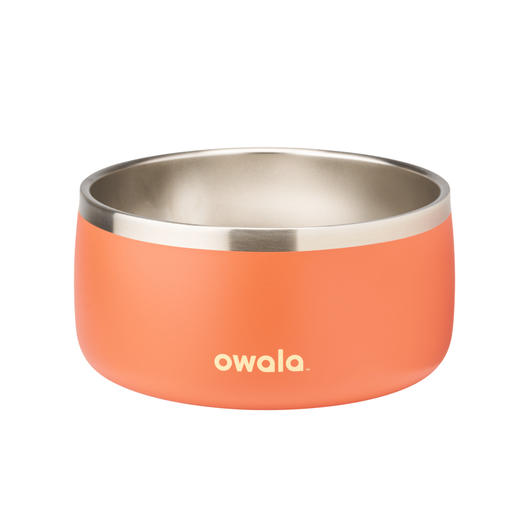Pet Bowl J0