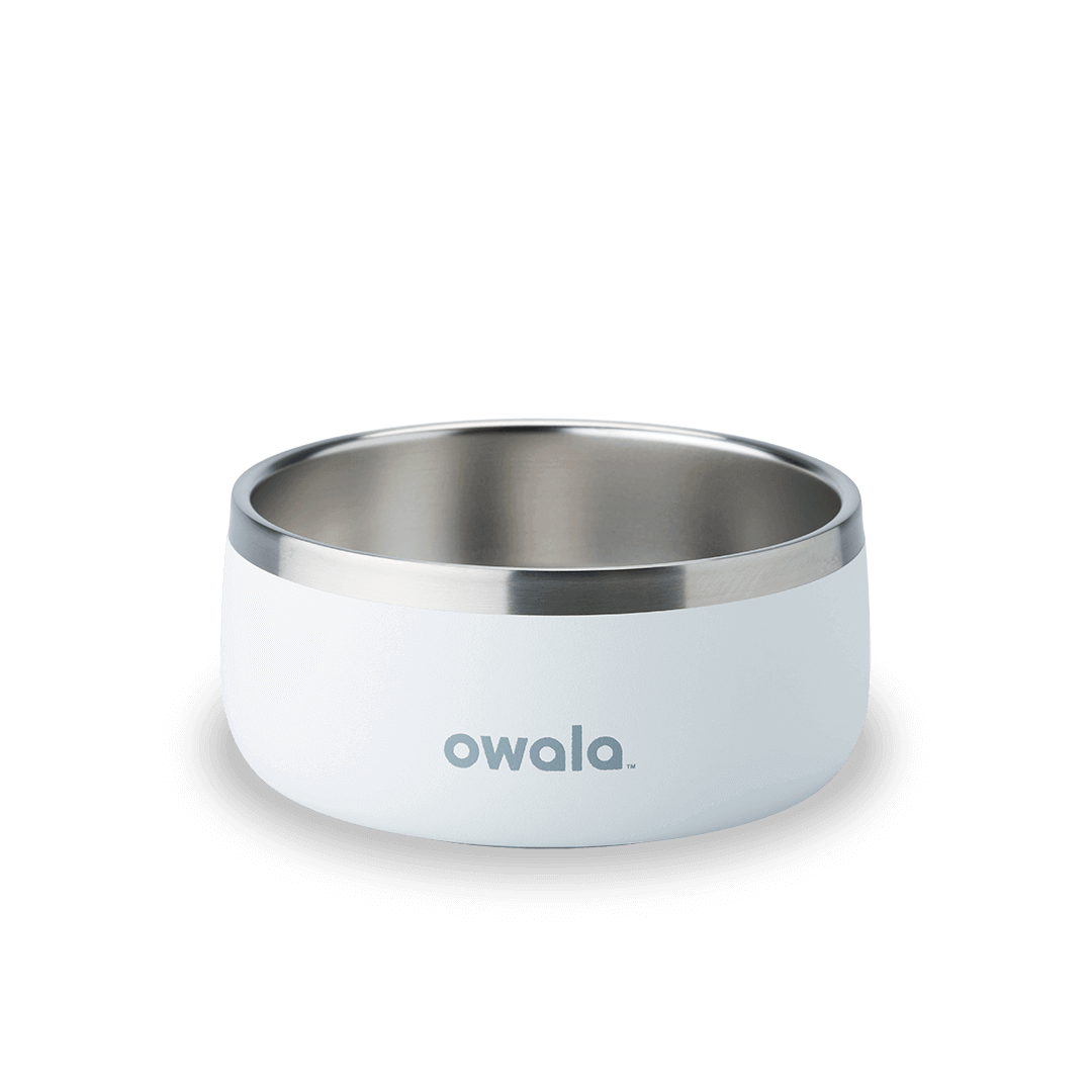 Pet Bowl J0