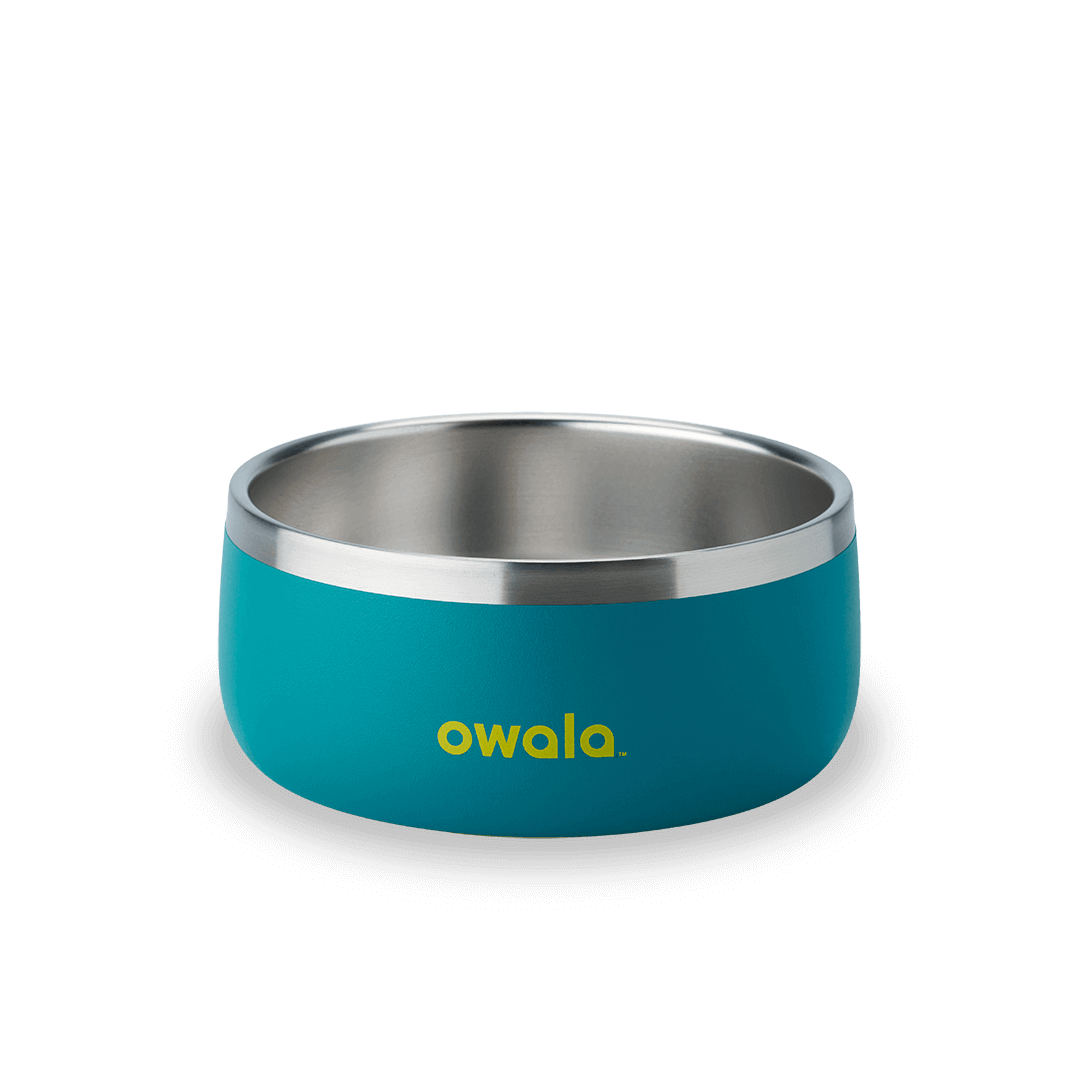 Pet Bowl J0